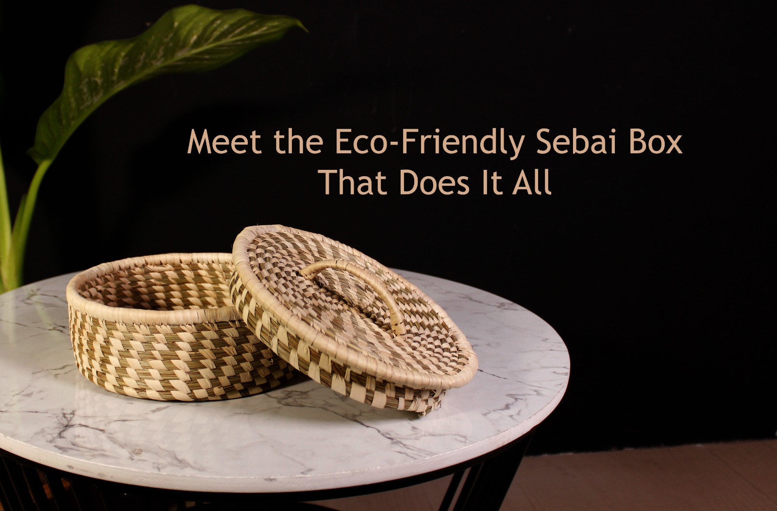 Meet the Eco-Friendly Sebai Box That Does It All
